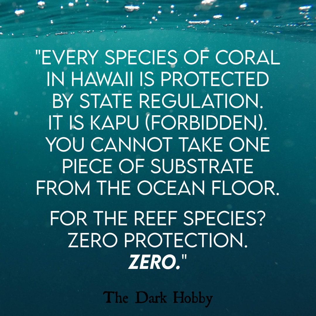 DarkHobby's tweet image. Fish need our protection.
This quote from Robert Wintner (Snorkel Bob) says it all.

#thedarkhobby #protectourfish #fishlives #stopillegalfishing