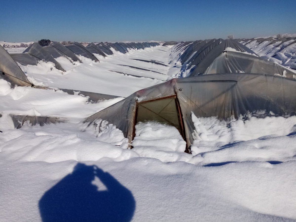 Foto cedida por UGAMA