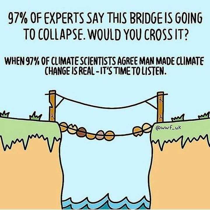 savethyocean's tweet photo. Did you know 97% of scientists agree climate change is real? 🌏
.
Why is this even a question anymore, climate change isn't up for debate it's a fact! 😫
.
Don't be that one person who crosses the bridge...
. 
Do you think this is a good idea? Comment below 👇
.
📷Credits: @… https://t.co/UdsYxnXhzS