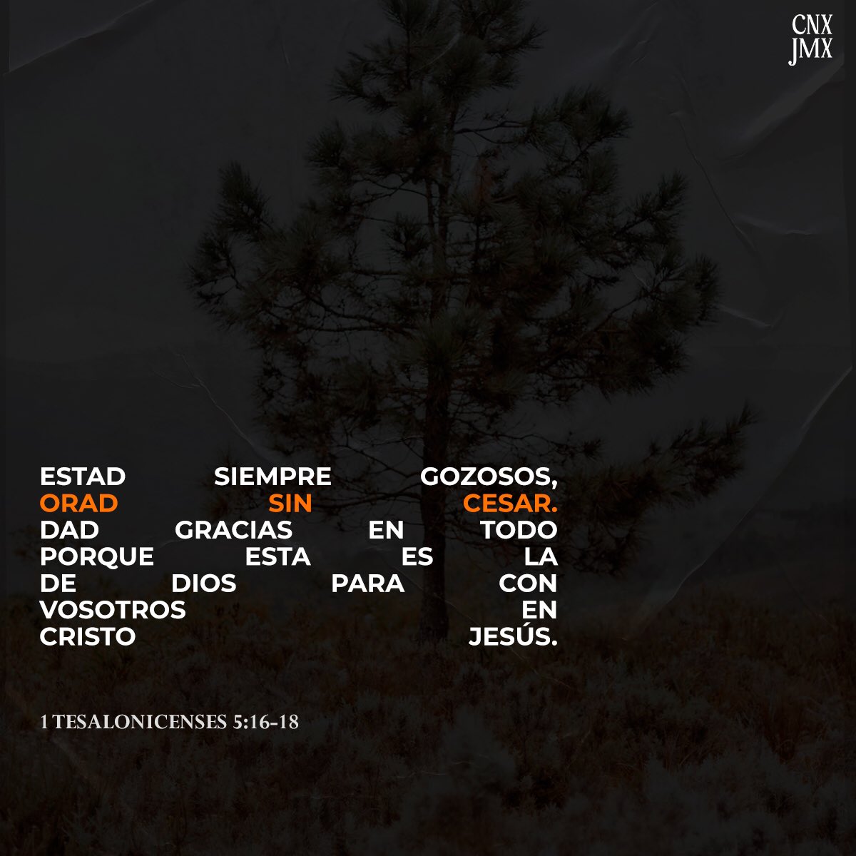 chico_1c's tweet photo. creo que es parte de la naturaleza humana, centrar la atención en aquellas cosas que nos faltan y no en aquellas que tenemos. En otras palabras, nos acostumbramos en cierto sentido a quejamos por lo que no hemos conseguido, más que dar gracias por aquello que se nos ha otorgado. https://t.co/xGbJuMQRQr