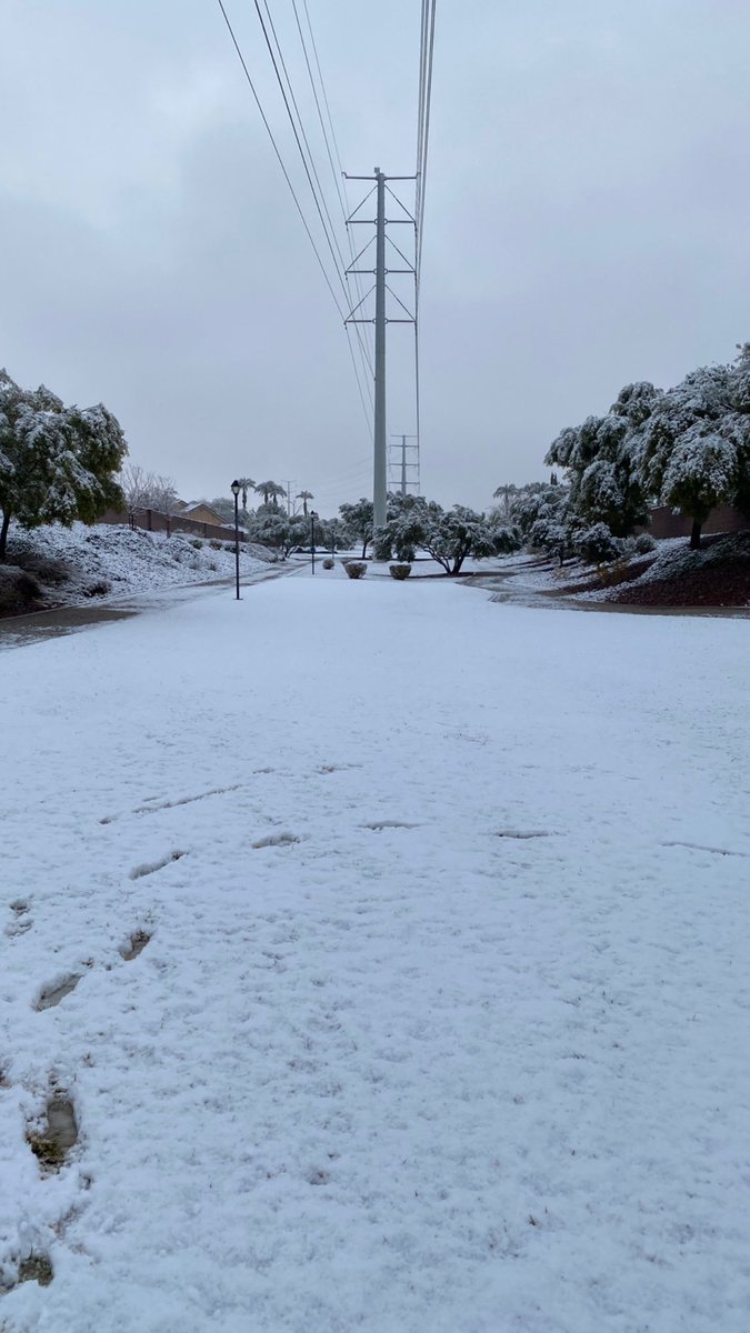 aniko_brown's tweet photo. I woke up this morning to snow and everything is white. I feel like this snow was a gift from Mother Nature, we know it’s been a challenging year for us all. It’s so beautiful. Thankful ❄️❄️❄️❄️ https://t.co/BhlfW55cte