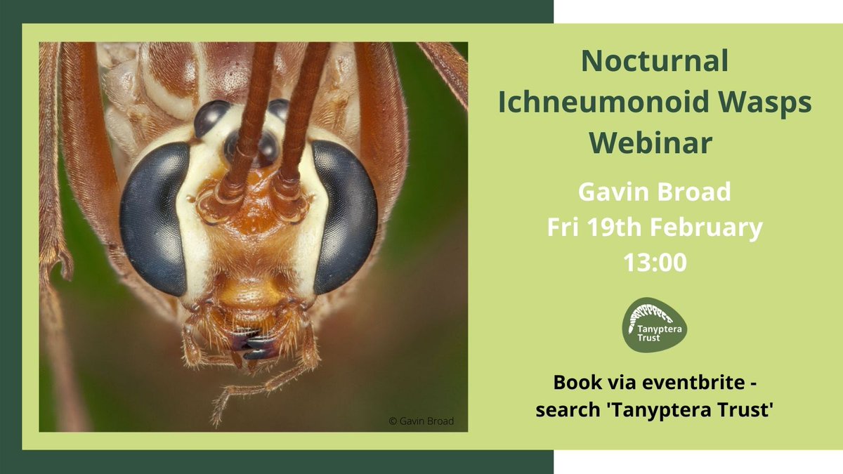 We have a new addition to our webinar line-up  - Nocturnal Ichneumonoid Wasps with @BroadGavin - Fri 19th Feb at 1pm

Book your place 👇
eventbrite.co.uk/e/nocturnal-ic…

#LockdownLearning #EntoAtHome