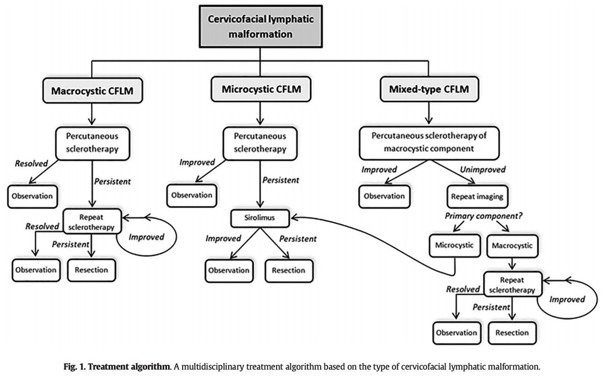 jpedsurg's tweet photo. Management of Cervicofacial Lymphatic Malformations Requires a Multidisciplinary Approach https://t.co/GDJkRyJLVS #prognosisstudy #Lymphaticmalformation #Cervicofacial #Vascularanomalies #Sclerotherapy #Resection #SoMe4PedSurg #jpedsurg https://t.co/0X3yGu216h