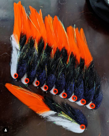 FarmsWhiting's tweet photo. I really like these streamers tied by @adaptivefly
Rounding out a big order. #AdaptiveFly☠️ .
.
#flytying #flyfishing #muskieflies #muskyflies #muskyonthefly #muskieonthefly #pikeflies #pikeonthefly @renzettiinc @rdflyfishing #whitingfarms https://t.co/cTZPCAX6Nq