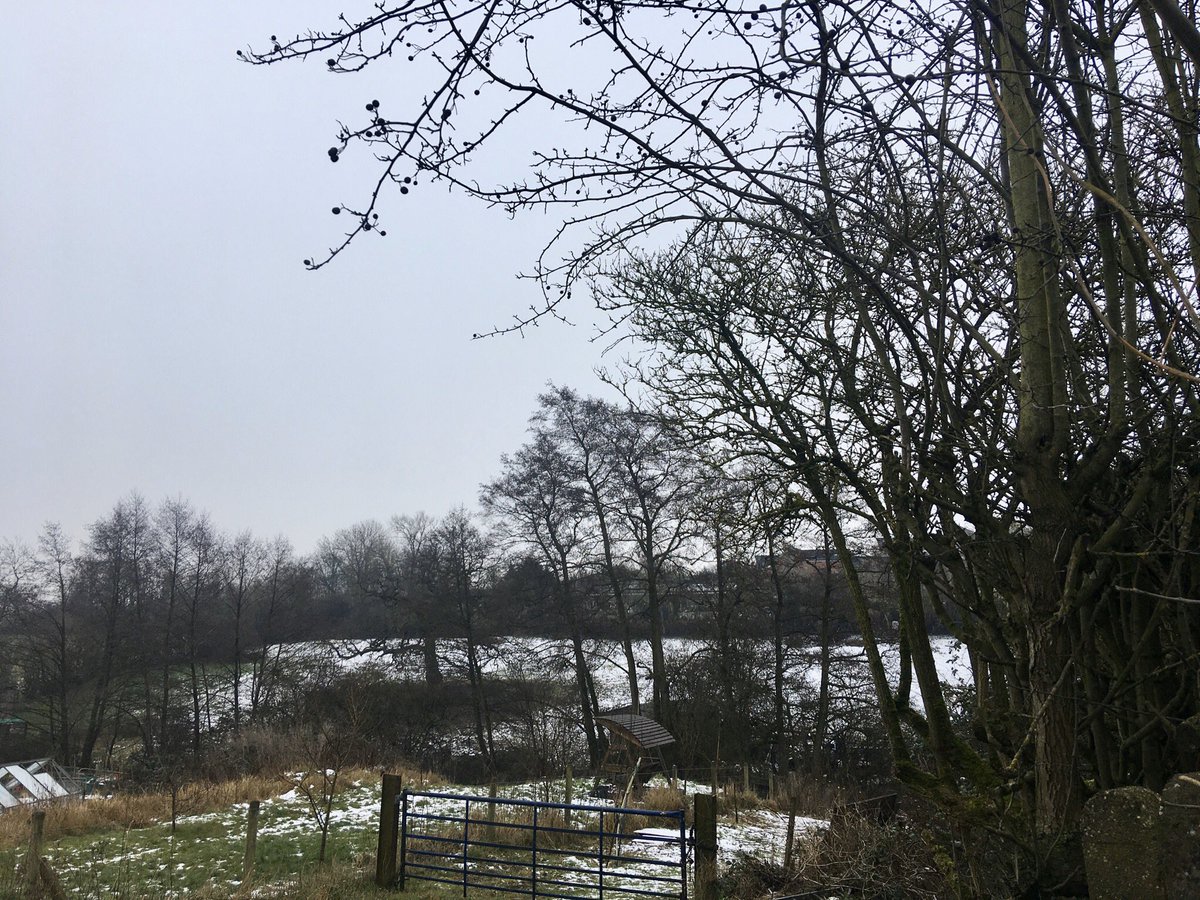 FloralRainbowAW's tweet photo. A #middaywalk to the village shop, some snow still lying, cold, icy rain just starting to fall, flock of t*ts flitting around in the cemetery limes. 💦❄️🥾🧤 https://t.co/70jpMp3hcX