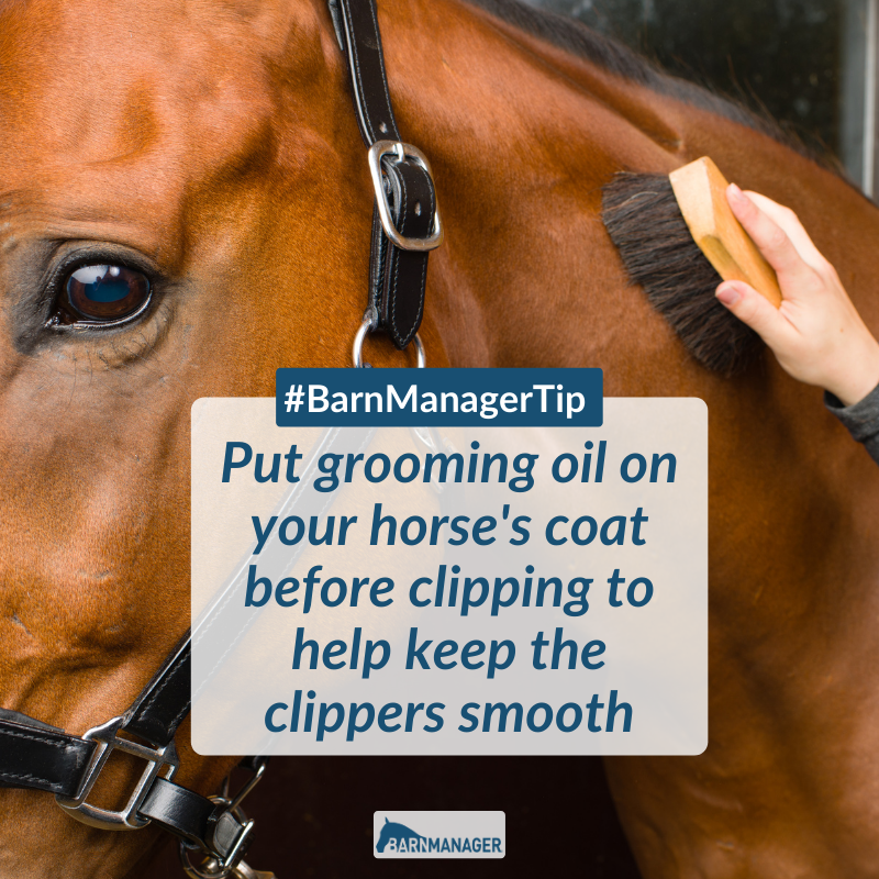 BarnManager1's tweet photo. Who has tried this one? 🙋 #BarnManagerTip https://t.co/y2bhirG0tb