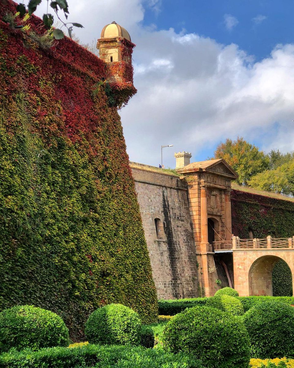 No se’ns acut cap raó per no estar totalment enamorats del castell de Montjuïc 🌲💚 #visitbarcelona

📸 ©raisabate (IG)

#inLOVEwithBarcelona #inLOVEwithCatalonia