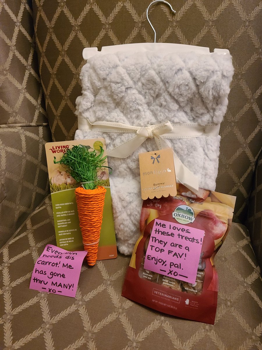 Byronrabbit's tweet photo. Look what was inside that red bag! Not sure where to begin. I love Oxbow treats and fleecy softness and toss toys. Thanks @MagicZeBunny ❤❤❤ @SehtiSehti #20bss https://t.co/owWCHWS3yD
