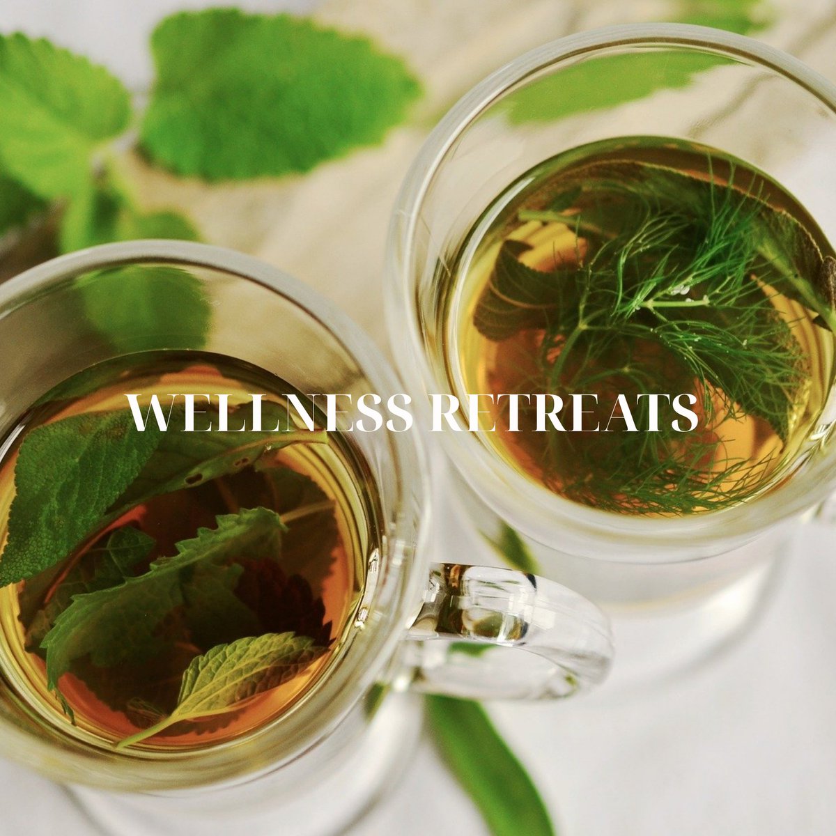At the start of every new year we all have our new years resolutions...

Most often it is:
Get into shape
Drink less alcohol 
Enjoy life more

You get the 📷 😉

Due to the ban on alcohol, use this opportunity to DETOX.
At Winelands Events we also arrange bespoke DETOX RETREATS.