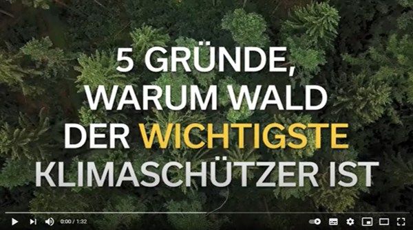 Heute ist🌍Tag der #Umweltbildung. Dazu servieren wir Wissenswertes prägnant zusammengefasst - von der CO2-Speicherfähigkeit bis zur Waldflächenentwicklung: Aus unserer Videoreihe... #Klimaschützer #Wald ➡️ youtu.be/raF0wL71KZQ