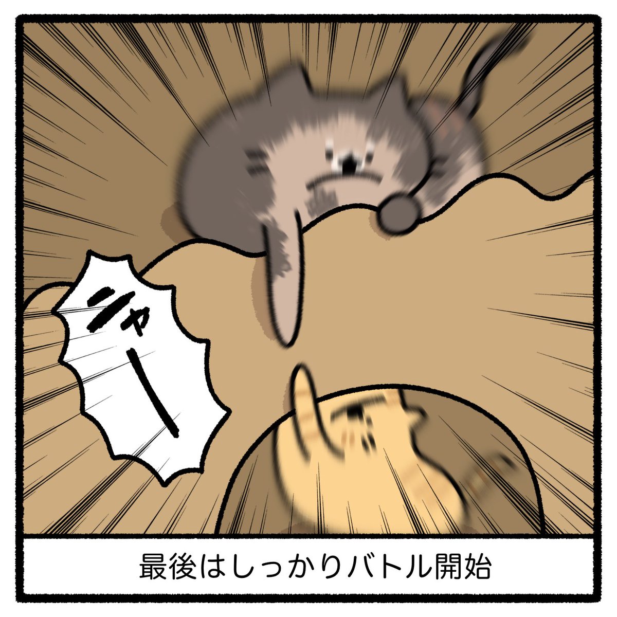 ダンボールハウス 