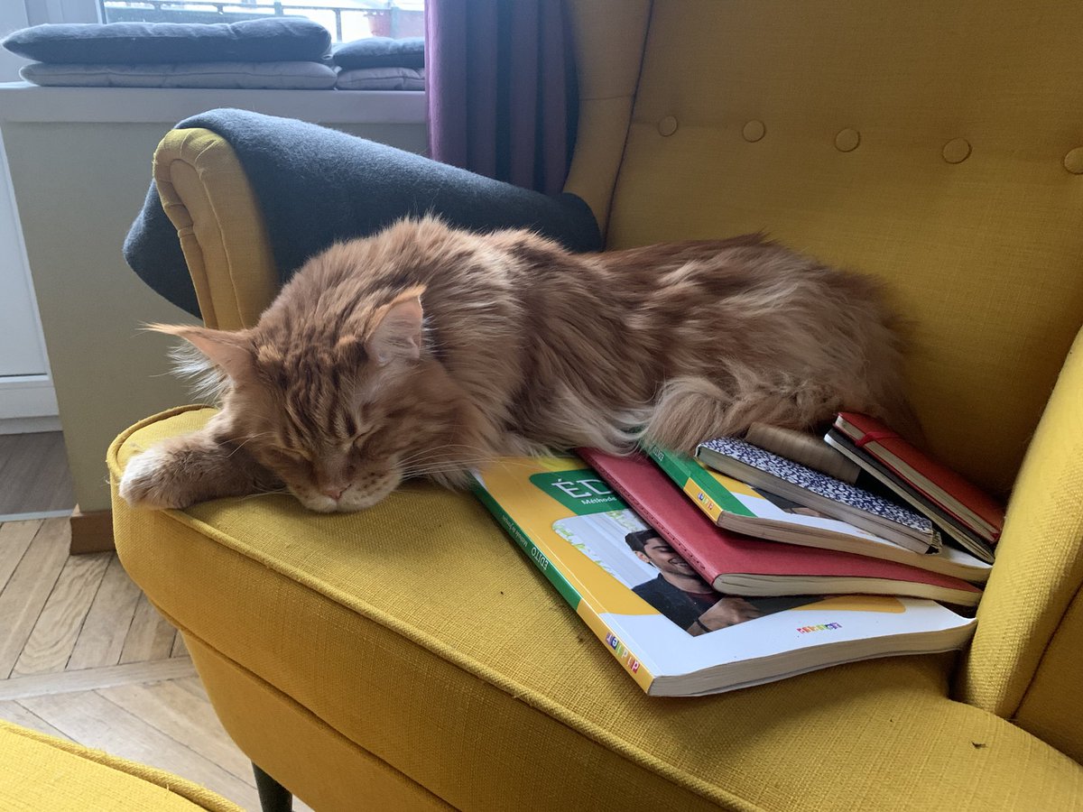 месье Николя tweet media