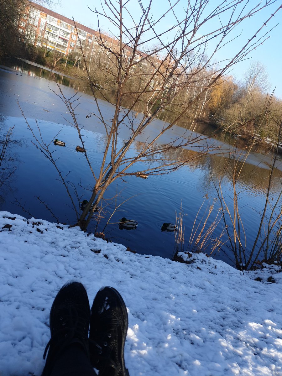 Tugbayavuzz63's tweet photo. ❄🦢❄ Güzellik❄ https://t.co/Jd7TId665J