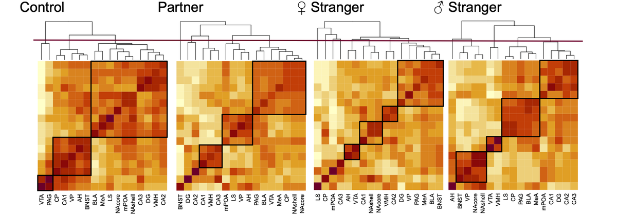 Kyle Gossman tweet media