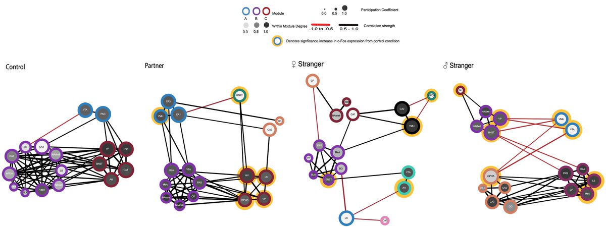 Kyle Gossman tweet media