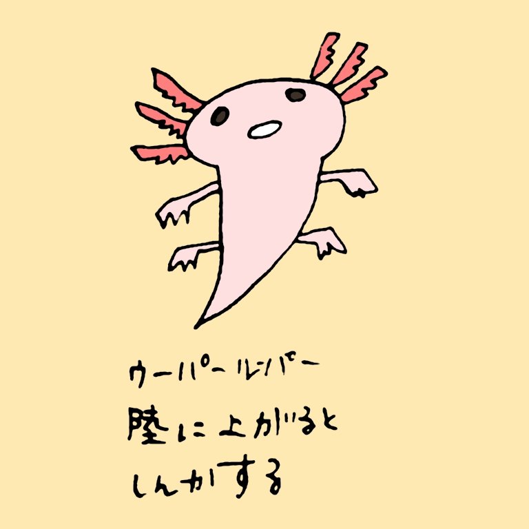 2dうさぎ 今日のらくがき ウーパールーパー別名メキシコサラマンダー 水から出すと陸化して肺呼吸になるんだって しかし寿命は縮むらしいよ らくがき いきもの 雑学 ウーパールーパー 2dうさぎ 今日のらくがき ウーパールーパー別名メキシコサラマンダー 水から出すと陸化して肺呼吸になるんだって しかし寿命は縮むらしいよ らくがき いきもの 雑学 ウーパールーパー