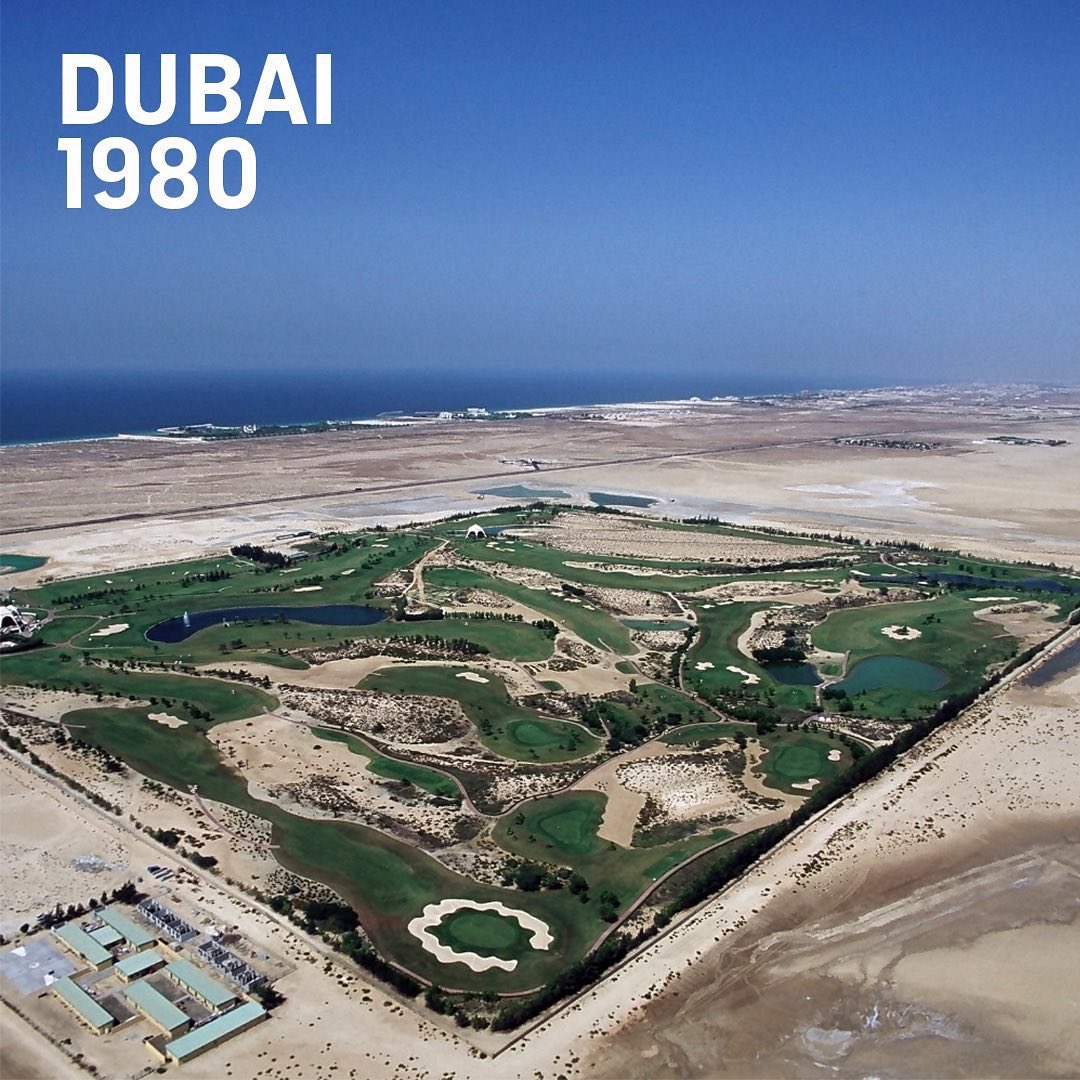 DP World Tour tweet media