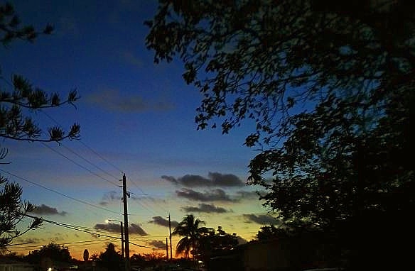 JorgeGNYCMIA's tweet photo. @JorgeG179 #Miami #Sky #Sunset #Palmtrees #Pinetrees #utilitycables #utilitypoles #photodaily #photography #photooftheweek #photosession #skyphotography #streetphotography #lensflare #SunsetOneEvening #riseandshine https://t.co/q4n6teK7N5