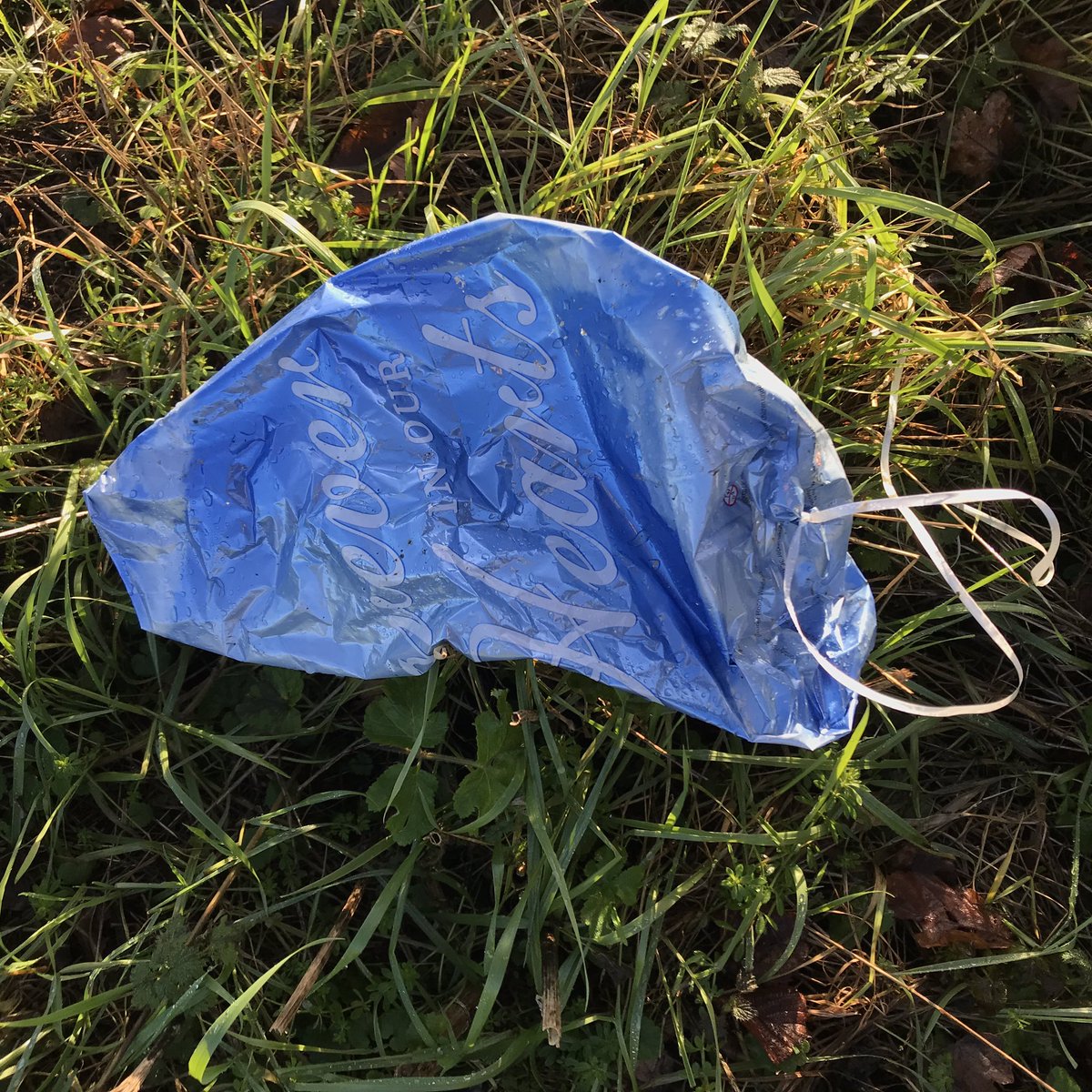 2 helium balloons, same design, same country road - stop sending them up! I’m sure Aunt maud would prefer you remember her some other way than causing death/injury to animals - where do people think they float off to, the great balloon park in the sky? #heliumballoon #norfolk