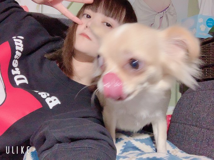 コスプレイヤーもがみひなたのTwitter画像16