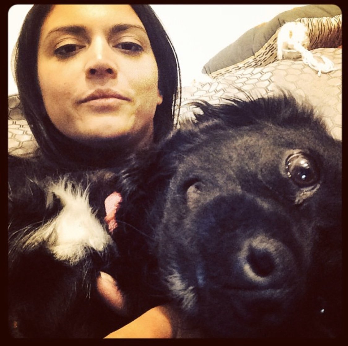 cecily strong and her dog lucy: a thread :)
