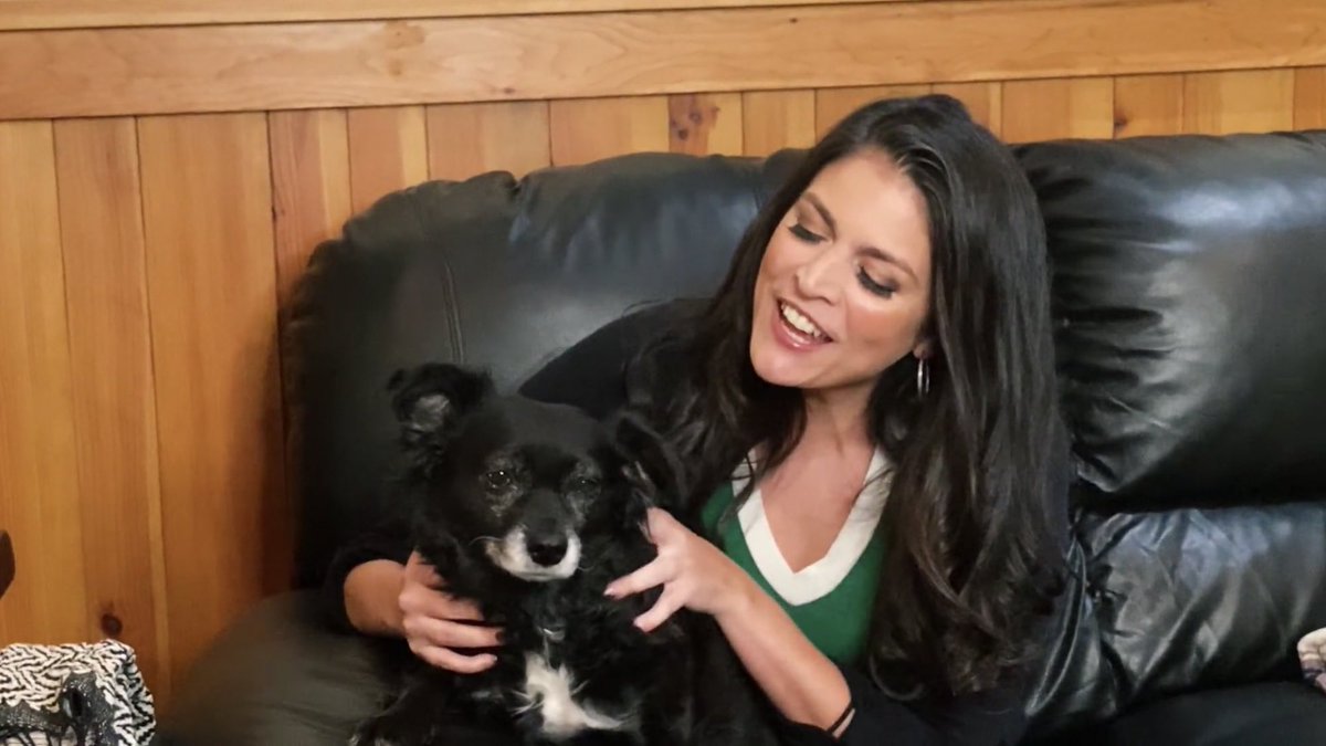 cecily strong and her dog lucy: a thread :)