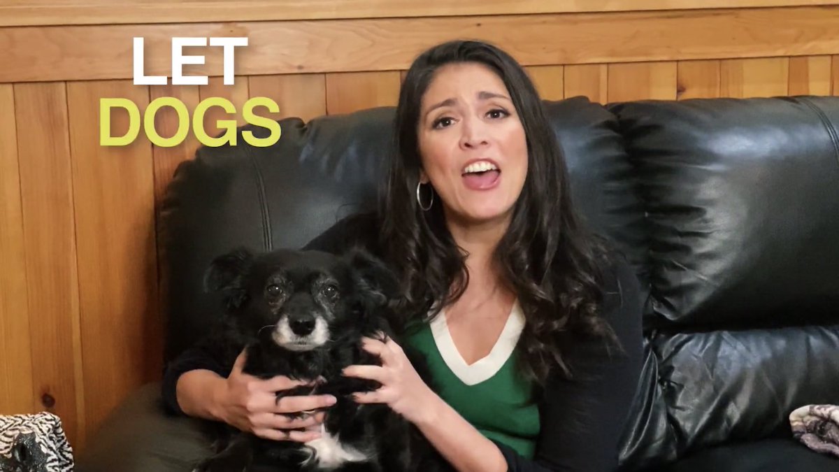 cecily strong and her dog lucy: a thread :)