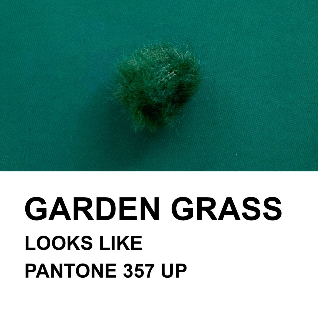 A color for each item of clothing: Garden Grass! Looks like Pantone 357 Up.
Find out which pantone our colors correspond to and discover all our other funny color names on weevee.ch 😬

#weevee #windjammers #deadcat #lavalier #lapelmic #microphone #wind #pantone