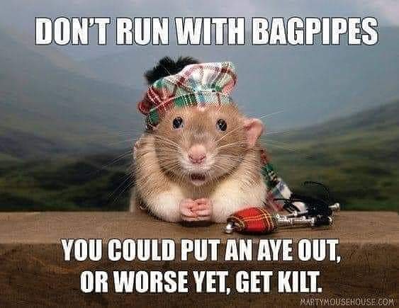 coinfurytv's tweet photo. Be careful out there!
See you at 12ish pm EST ๐
https://t.co/us67rZjiJ9
#ratmemes #RatJam #bagpipes #memes #dadjokes #twitch #streamer #gamer #memer #tuesdaythoughts https://t.co/qthSgCqD1u