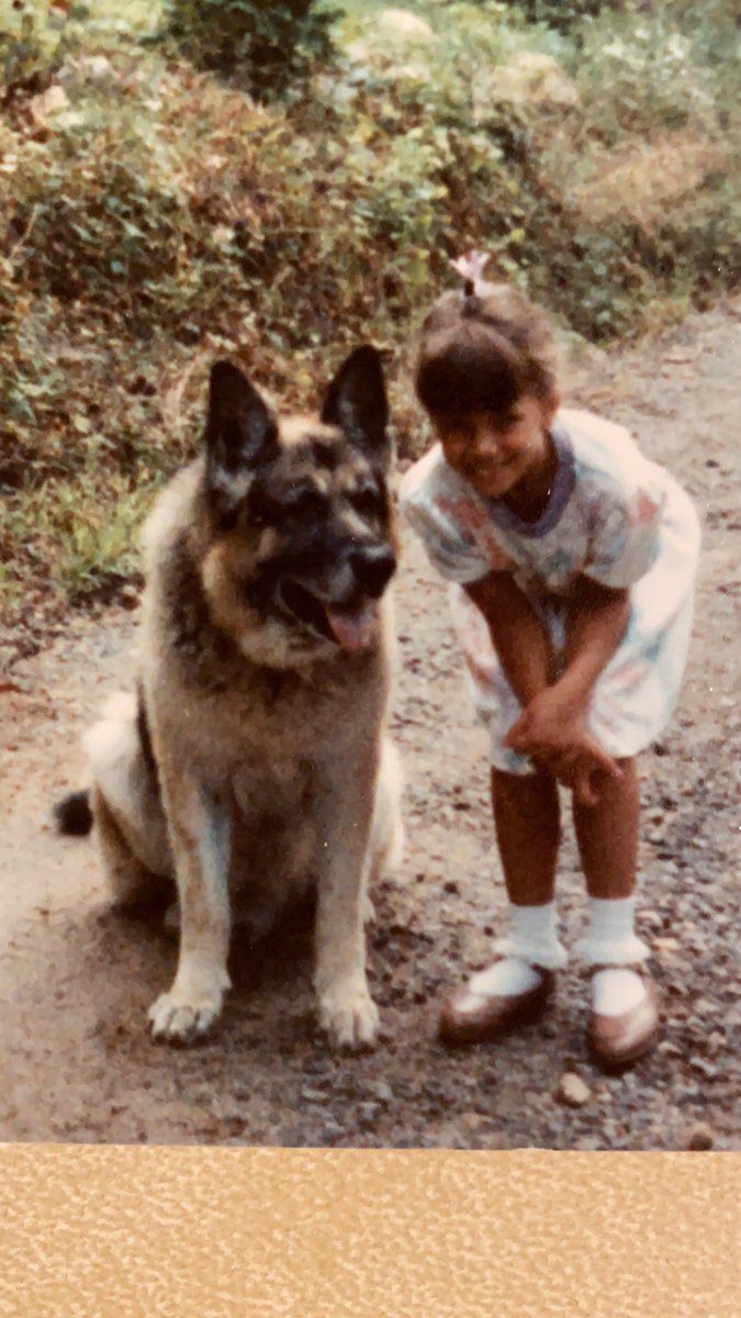 hkeller's tweet image. One reason I love the #FirstDogs so much is because of my own First Dog - this is Hans and he was AMAZING. Such a smart, protective, and loveable big boi ❤️
