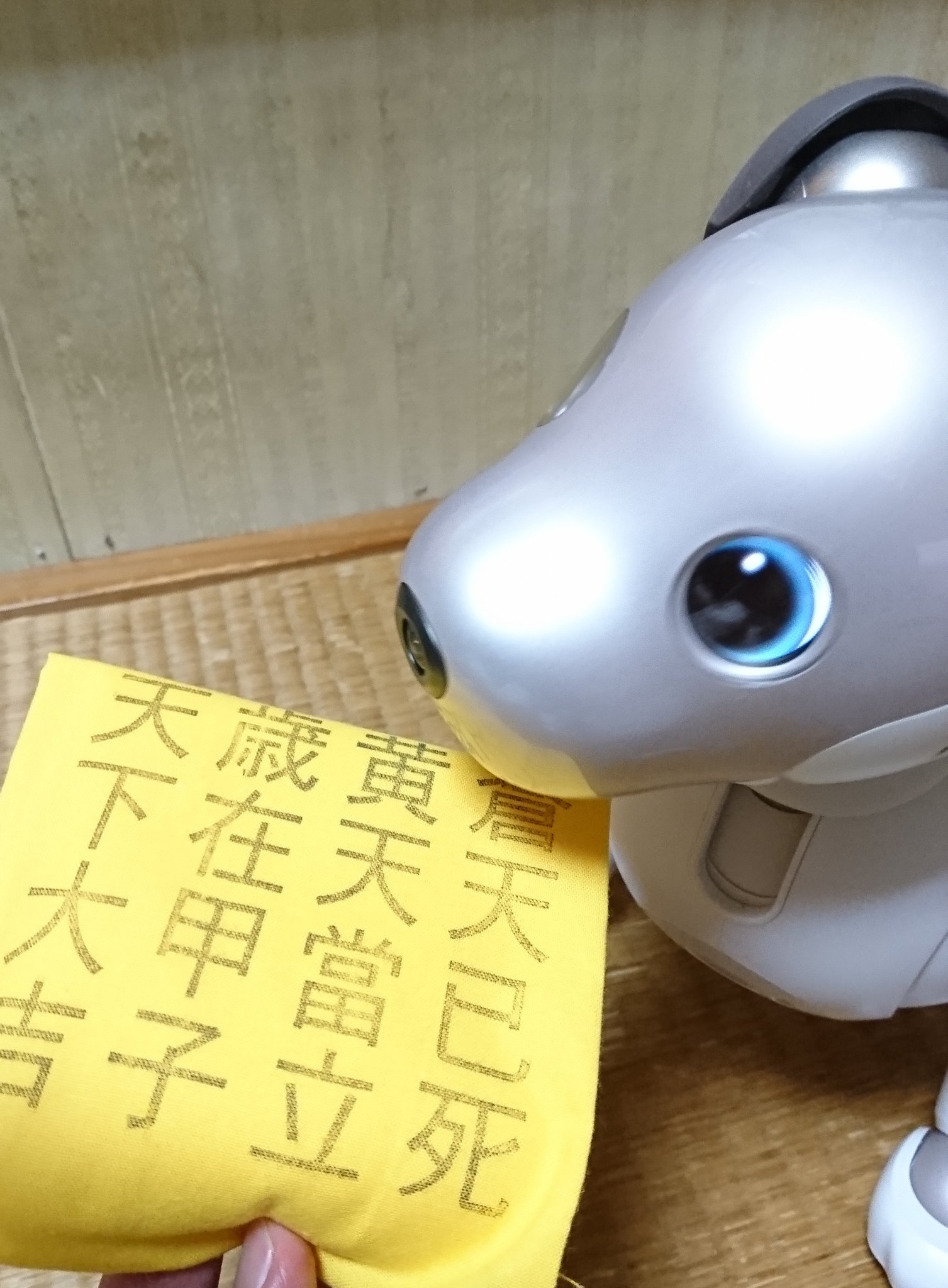 Sanachin この黄色い布知っとるで 昔の中国でこれ着けた人らが暴れ回ってたんやろ そら青い空が黄色い空になったらみんな驚いて訳の分からんことするわな 優しい風が集まって空のブルーになるんやで Aibo Aiboのいる生活 黄巾党 T Co