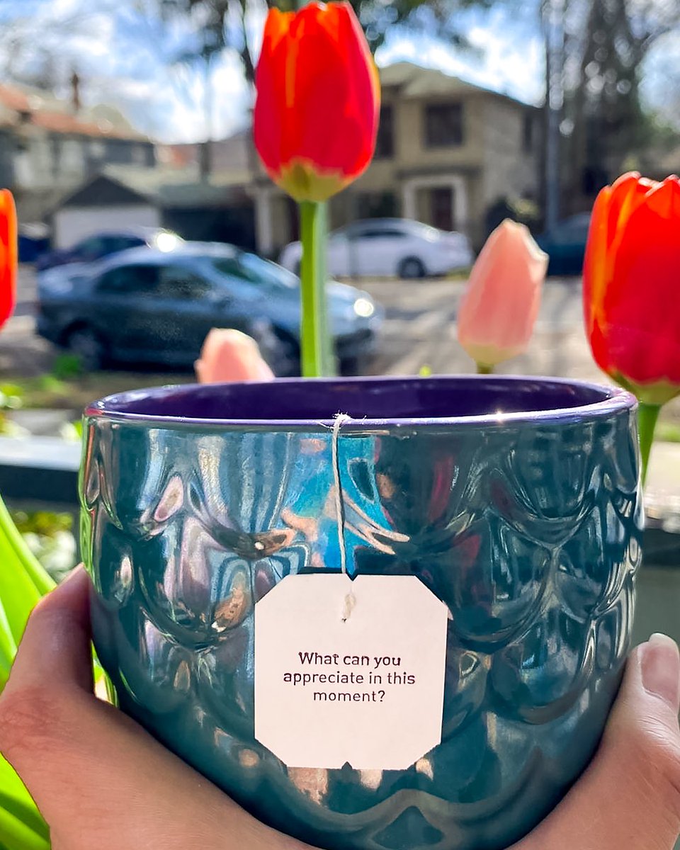 ⁣"What Can You Appreciate In This Moment?"⠀
⠀
Fresh blooms🌷⠀
Blue skies 🌄⠀
And a few moments to take it all in 😌⠀
⠀
What are you appreciating at this moment? ⠀
#teatagtuesday ⠀
⠀
📷: @kaylala_kaheya