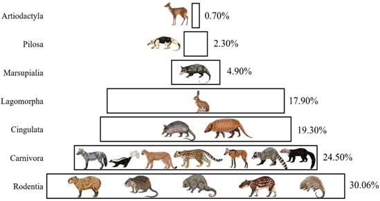 MarceloMagioli's tweet photo. Sharing our new paper on estimates of mammal roadkill for the São Paulo state, Brazil, with an alarming average number of ~39,600 animals being roadkilled per year!

https://t.co/VV1T2lhi6J https://t.co/WiyjVRgfgg