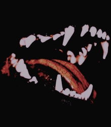 — Nᴏ ᴛᴀᴘᴘɪɴɢ ᴏᴜᴛ. tweet media