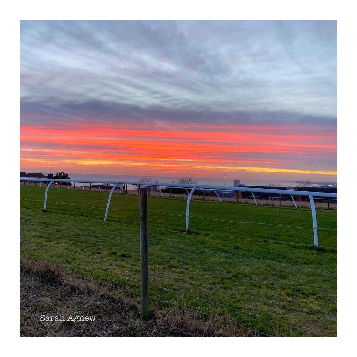 IrishAggers's tweet photo. Couldn’t work out which one was best so I’ve shared the lot. Last night’s glorious sunset over the racecourse at the top of Brighton. So nice. Sluddgy mud on the way home though, no good for the Adidas.
#januarysunset #brightonsunset #brightonracecourse https://t.co/wJtyl7uS9m
