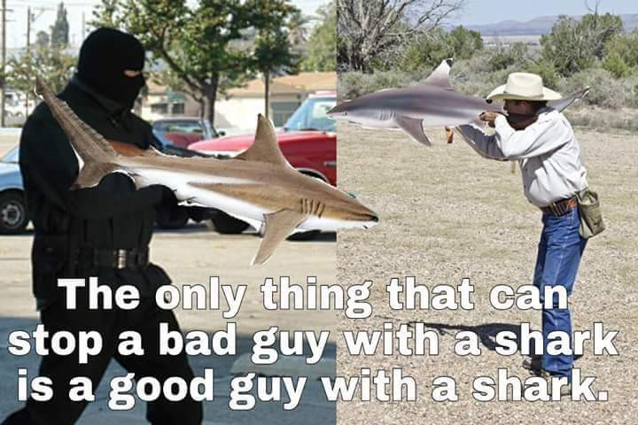 MarineShitposts's tweet photo. https://t.co/4cITMac09a