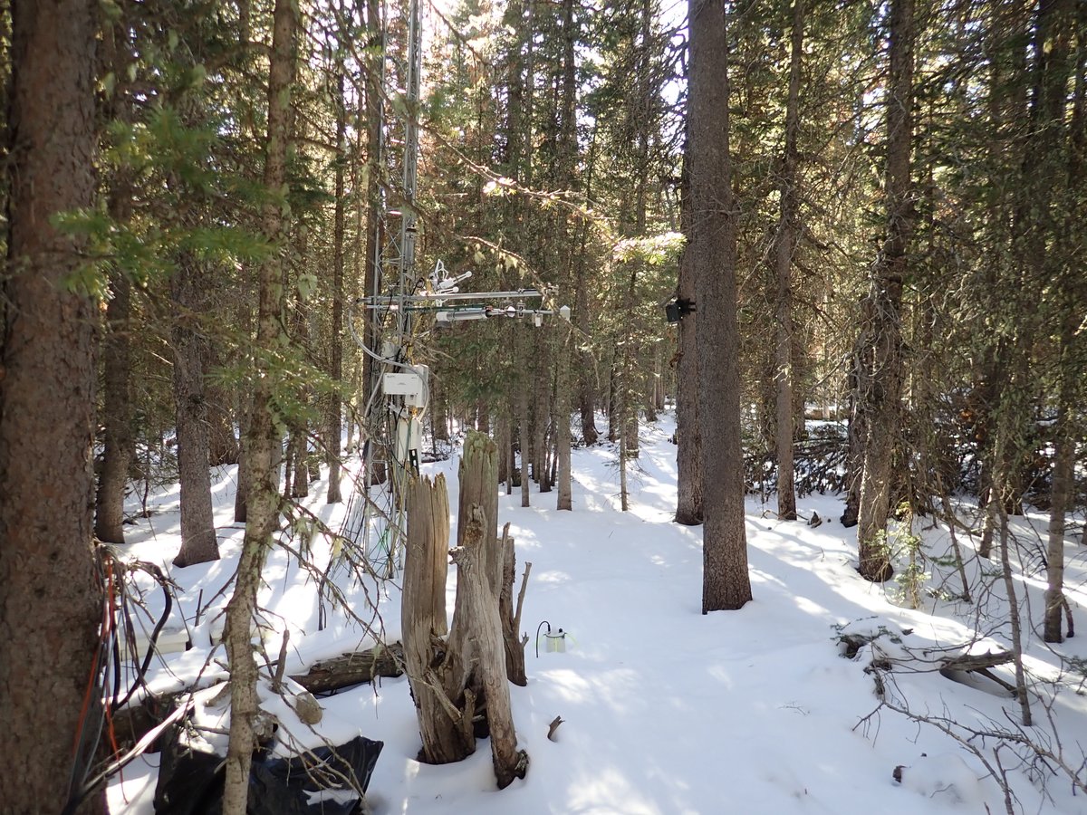 eosense's tweet photo. I spy with my little eyes something that is measuring #CO2 flux under snow...... Hit the LIKE when you see it!
#eosFD #soilflux https://t.co/SKifTQxmKL