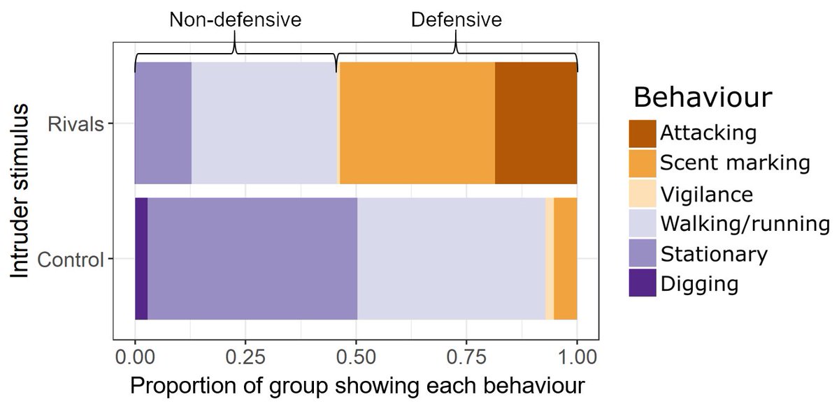 5. Why were behaviours more diverse in response to rivals?  Groups increased the use and diversity of defensive behaviours. Groups still responded appropriately, but individuals did so in different ways.  #AnimBehav2021