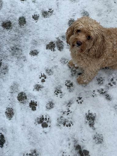 Bedford Modern tweet media