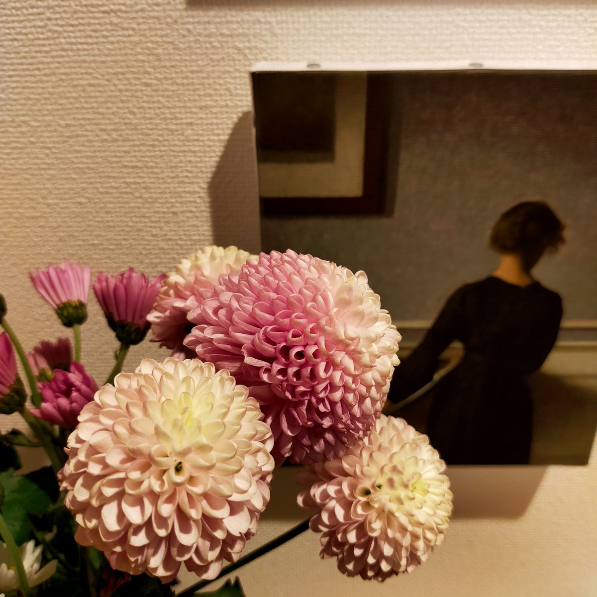 Yomyo Ar Twitter こんなグラデーションの綺麗なポンポン菊初めて見て 花屋さんで一目惚れして買ってしまった 私の 世界に一つだけの花 Yomyo Ar Twitter こんなグラデーションの綺麗なポンポン菊初めて見て 花屋さんで一目惚れして買ってしまった 私の 世界に一つだけの花