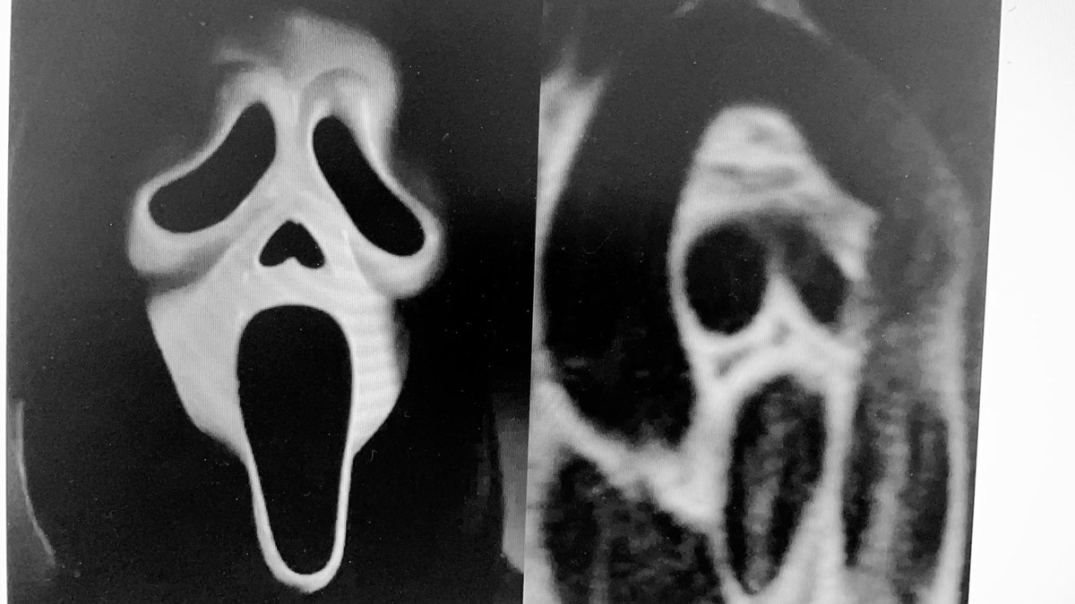 mattglwilliams's tweet photo. How we all feel on the inside... #whycmr #scream #Covid_19 https://t.co/uQEaN1QwRS