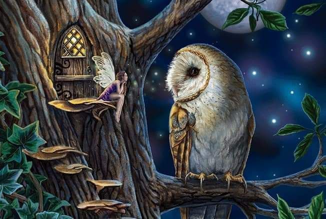 “Everything you can imagine is real.” —Pablo Picasso.
.
.
.
#owl #owls #owllove #owllovers #owllife #owlphotography #owlfan #owlquotes #owlobsession #cute #cuteowls #owlpost #HootyHooCL  #owladdict #art #owlart #dream #imagination