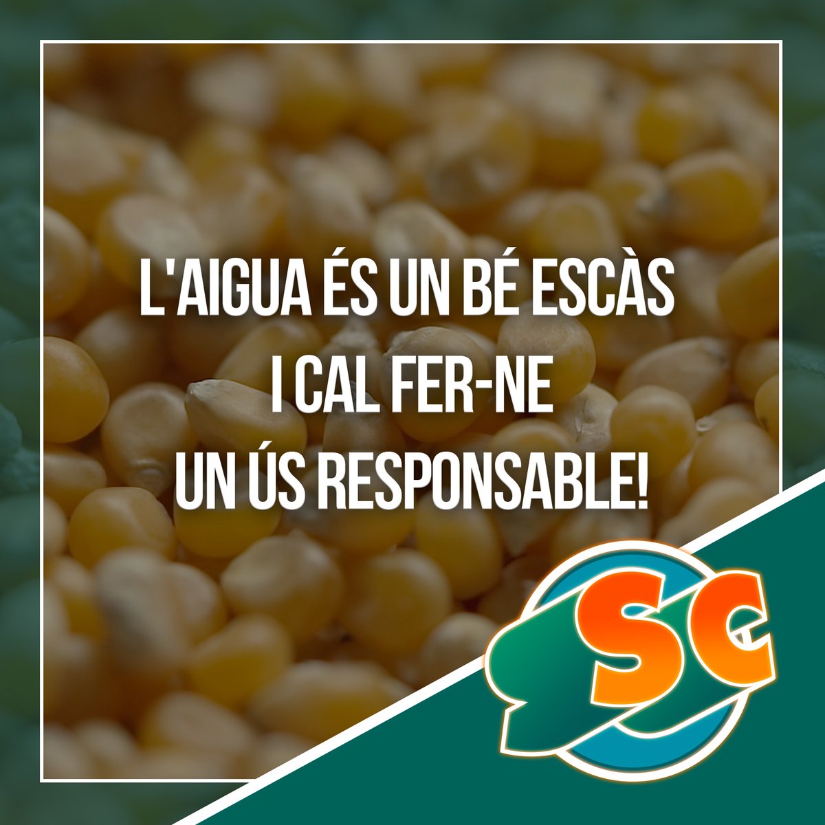 lasupercol's tweet photo. 📢 L'aigua és un bé escàs i cal fer-ne un ús responsable!

🗣 Les necessitats d'aigua són cada vegada més grans, però els recursos són limitats. 

🙌 Només un ús racional pot permetre que la nostra activitat sigui compatible amb els recursos existents. #SuperColTV3 https://t.co/6YnYTEoHPG