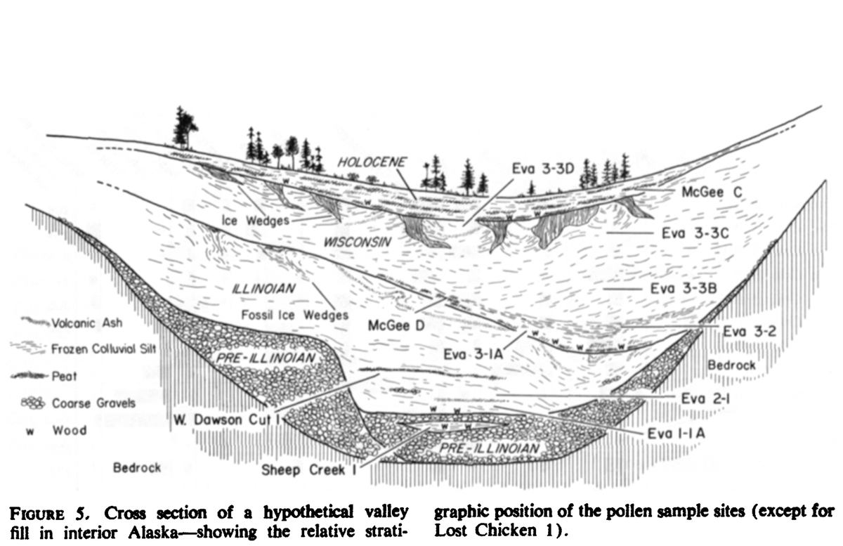 John did his MSc at UAF with Dale Guthrie on the paleoecology of the Fairbanks area (Matthews 1970, AAR, 2, 241-251); the first pollen analysis to reconstruct ice age conditions of interior Alaska from ‘muck’ or could be called yedoma today. I think Dale’s first graduate student.