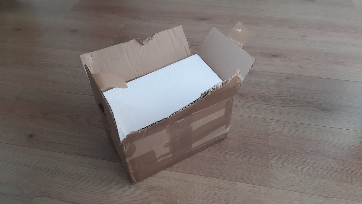 𝗣𝗘𝟭𝗥𝗗𝗣 tweet media