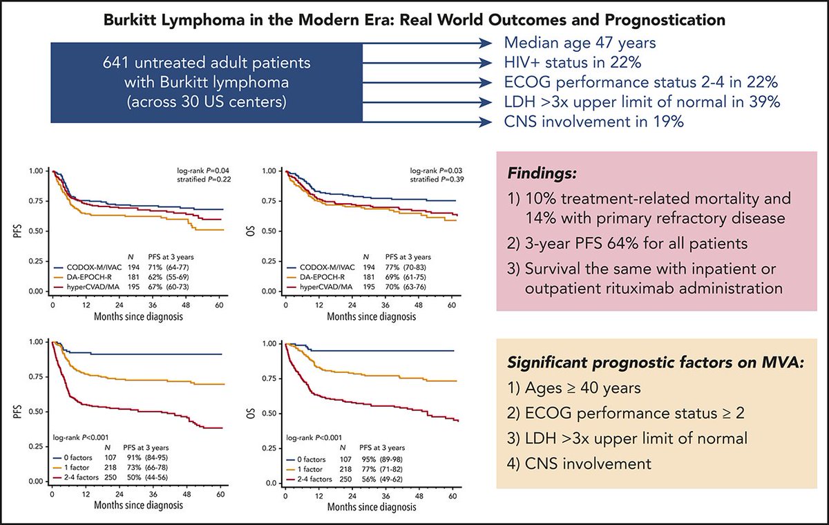 Blood Journals Portfolio tweet media