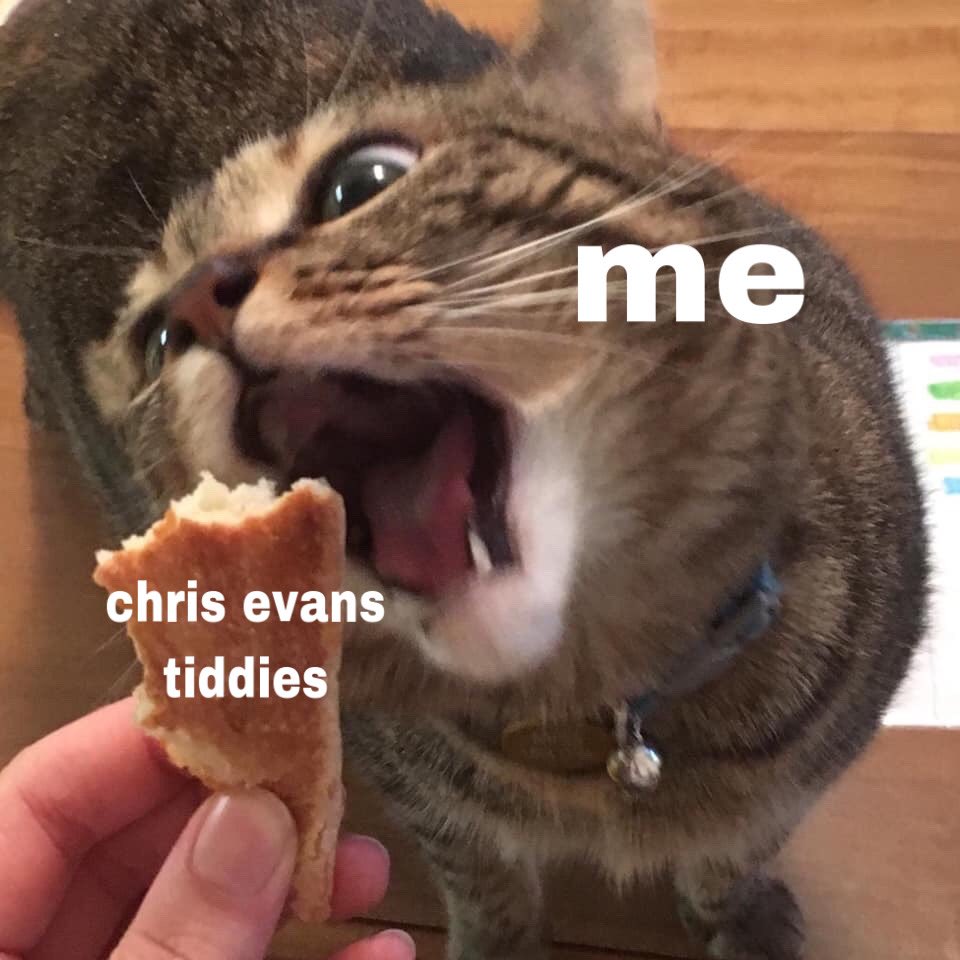 mostly chris evans memes i made instead of doing my schoolwork: a thread