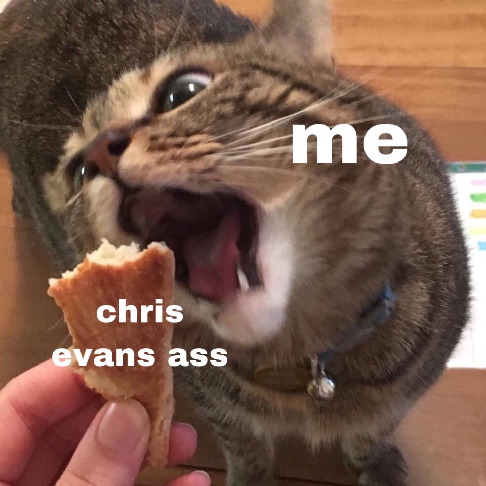 mostly chris evans memes i made instead of doing my schoolwork: a thread