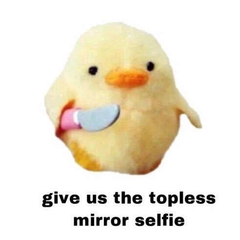 mostly chris evans memes i made instead of doing my schoolwork: a thread