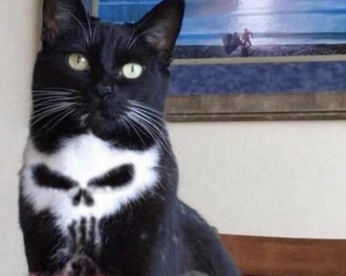 猫の胸元にドクロが・・・！自然でこれはすごくないか！？